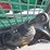 2020-takeuchi-tl6r-image-29