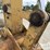 2004-caterpillar-318c-image-14