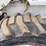 bobcat-743b-image-11