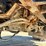 2009-case-ih-titan-3020-image-52