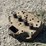 john-deere-model-a-image-5