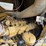 2015-caterpillar-d6n-xl-image-26