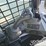 2022-bobcat-t870-image-25