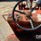 willmar-wrangler-image-23