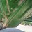ez-trail-710-image-15