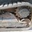 2020-takeuchi-tl6r-image-20