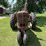 farmall-m-tractor-image-2