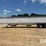 2008-wilson-grain-image-5