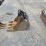 2021-caterpillar-303e-cr-image-43