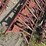 pallet-of-(3)-cattle-headlocks-image-3
