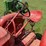 massey-ferguson-30-image-9