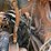 bobcat-t650-image-17