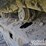 2015-caterpillar-329fl-image-9