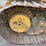 2017-caterpillar-d6t-lgp-image-12