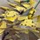 john-deere-688-image-35