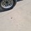 tow-dolly-image-6