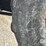 willmar-wrangler-image-31
