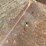 bobcat-763-image-11