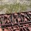 pallet-of-(3)-cattle-headlocks-image-1
