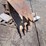 adco-v-24"-rock/frost-bucket-image-2