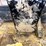 willmar-wrangler-4500-image-38