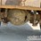 2000-ford-f750-image-17