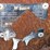 bobcat-t650-image-5