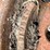 john-deere-model-b-image-6