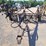 ber-vac-16'-folding-field-cultivator-image-5