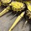 john-deere-688-image-7