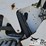 2016-bobcat-t650-image-21