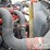 2015-international-durastar-4300-image-30