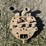 john-deere-model-a-image-1