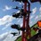 case-ih-5300-image-62