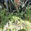 new-holland-tl100a-image-9