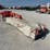 kuhn-gmd902-image-6