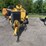 2021-etnyer-rubber-tar-crack-sealer-image-5