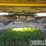 2015-caterpillar-329fl-image-27