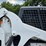 bobcat-t190-image-23
