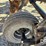 case-ih-5300-image-31