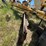 new-holland-rg170-image-12