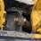 2021-caterpillar-303e-cr-image-50