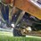 2000-freightliner-fl60-image-41