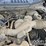 2016-ford-f150-image-18