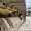 komatsu-d37p-5-image-16
