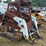 bobcat-t650-image-1