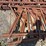 pallet-of-(3)-cattle-headlocks-image-3