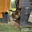 2005-jcb-718-image-20