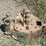 john-deere-model-a-image-12