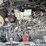 2018-wacker-neuson-et65-image-31
